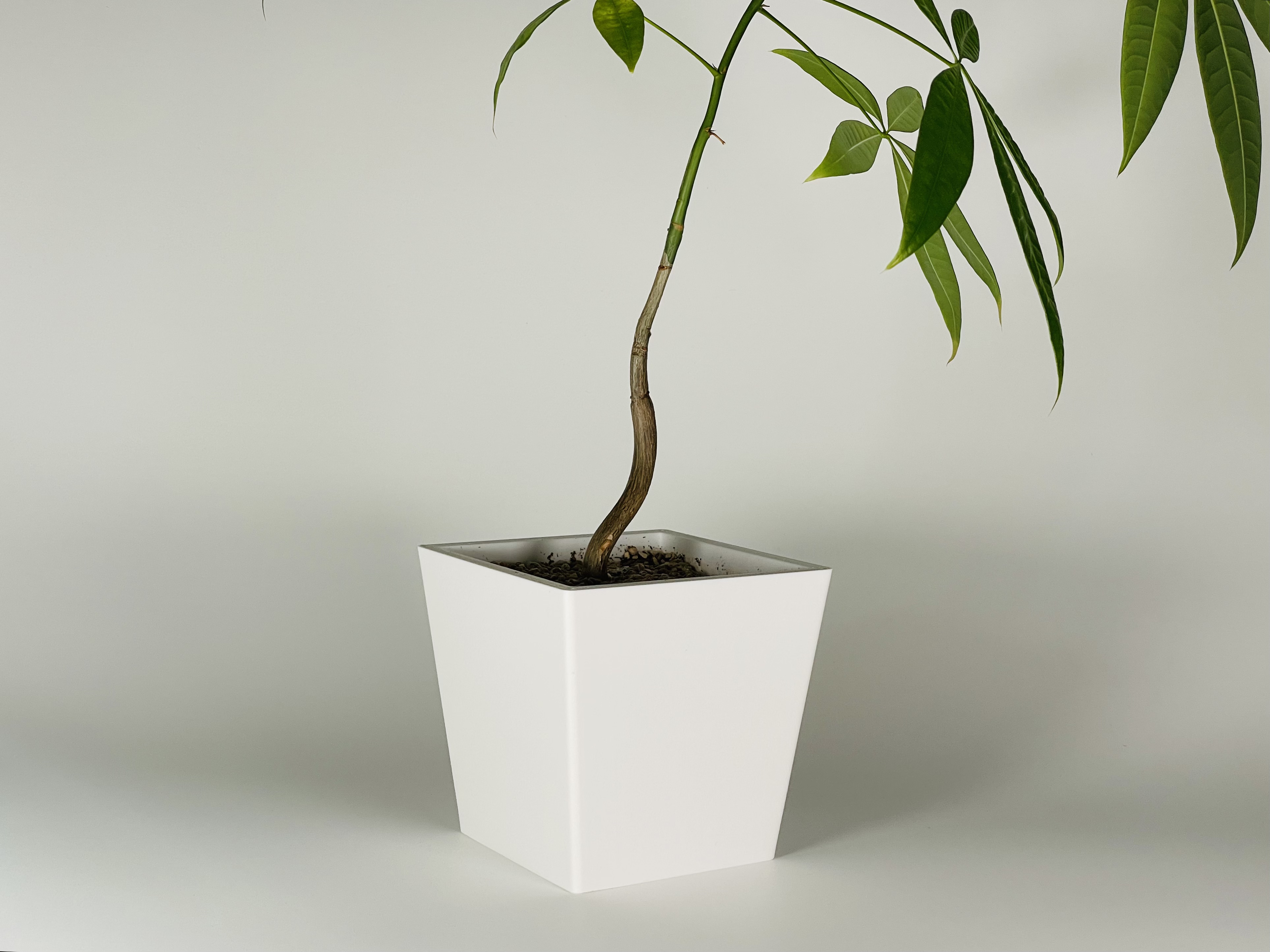 Miniatura 4 do modelo 3D 经典方形花盆100mm/内外盆分离/套盆