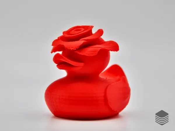 https://makerworld.bblmw.com/makerworld/model/USf83a24a3a779f9/design/2025-02-02_e8cf121636602.png