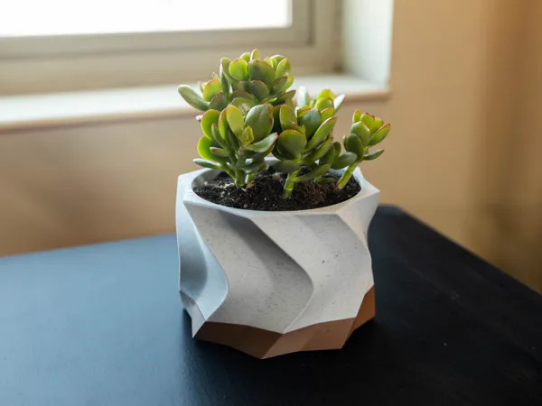 https://makerworld.bblmw.com/makerworld/model/USf83d351e57d5d1/design/2024-09-02_0bddb534475df.jpg