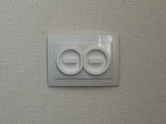 Plug protector
