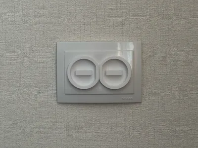 Plug protector