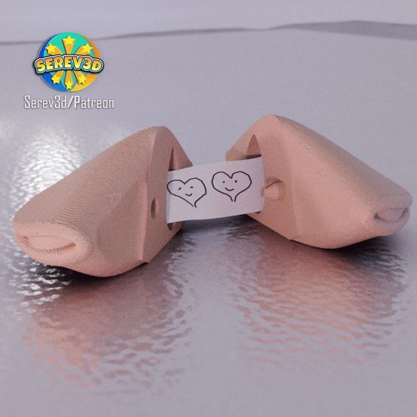 https://makerworld.bblmw.com/makerworld/model/USf8455bf5e37329/design/2025-02-04_3af0ef2fe1e2e.gif