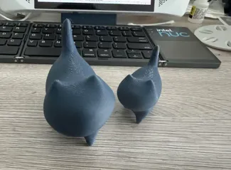 傲娇的小猫