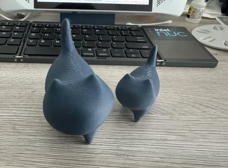 傲娇的小猫