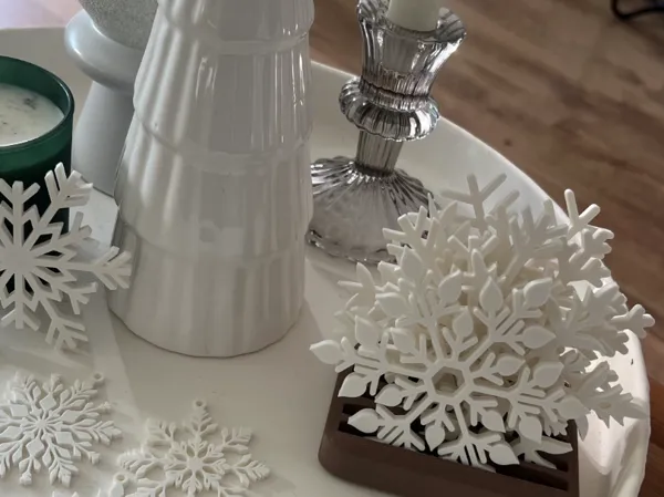 https://makerworld.bblmw.com/makerworld/model/USf848c7a3b70188/design/2025-11-17_d9d3b94fcc3a2.jpeg