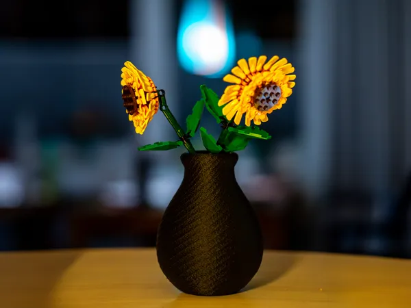 https://makerworld.bblmw.com/makerworld/model/USf84a1c51b8ee5a/design/2025-01-30_9e578576eff95.jpg