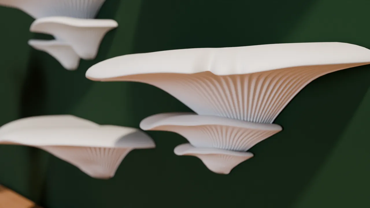 Mushroom Shelves easy installation view 2