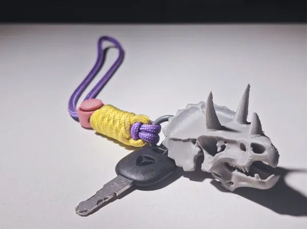 https://makerworld.bblmw.com/makerworld/model/USf84ca1569db75c/design/2025-06-10_14568782088b38.jpg