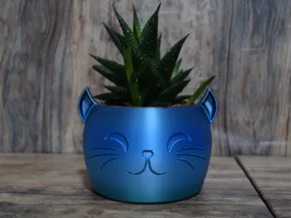 Smiling cat plant flower pot 