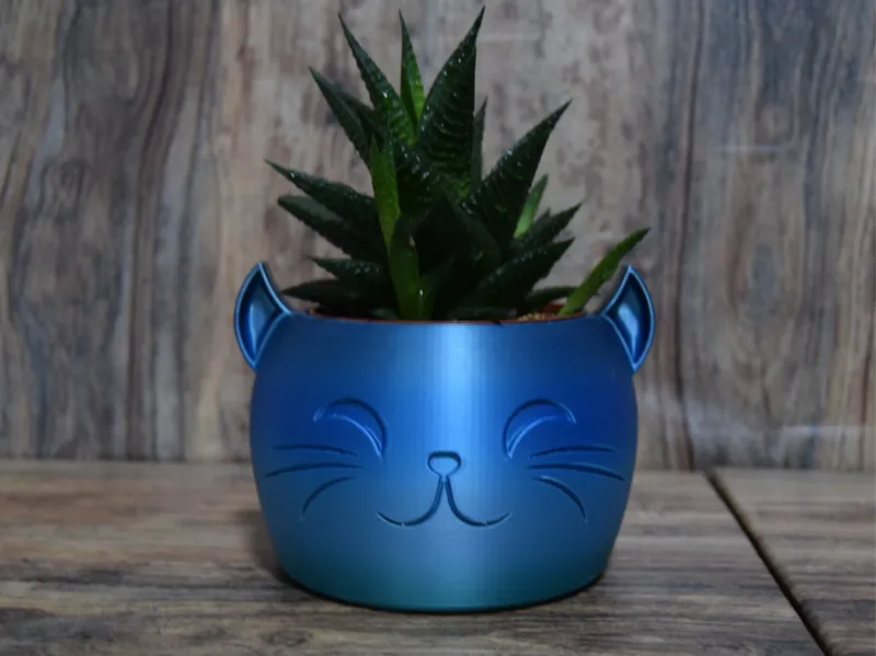 Smiling cat plant flower pot 