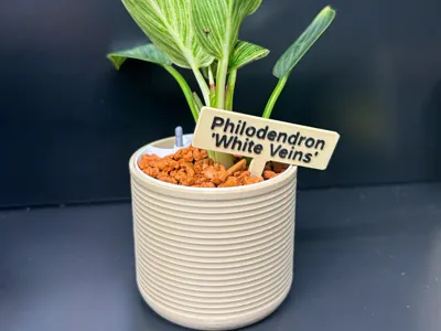 Plant Pot - Inverted Rings