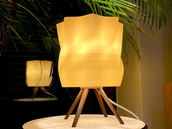 https://makerworld.bblmw.com/makerworld/model/USf851cefa913ead/design/2025-03-18_09062788ea4d.jpg