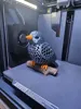 Voronoi Bird AMS normal Support