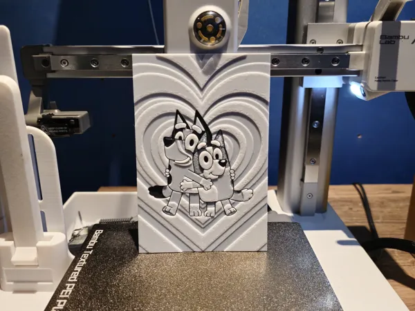 https://makerworld.bblmw.com/makerworld/model/USf85b500e407bd4/design/2024-07-02_267ad0804c206.jpg