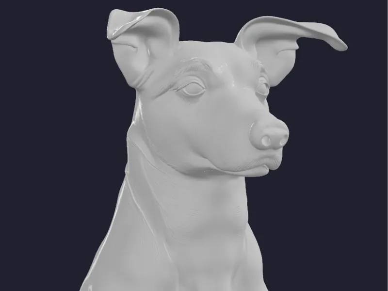 Jack Russell Terrier - V2