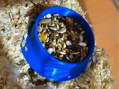Hamster Bowl