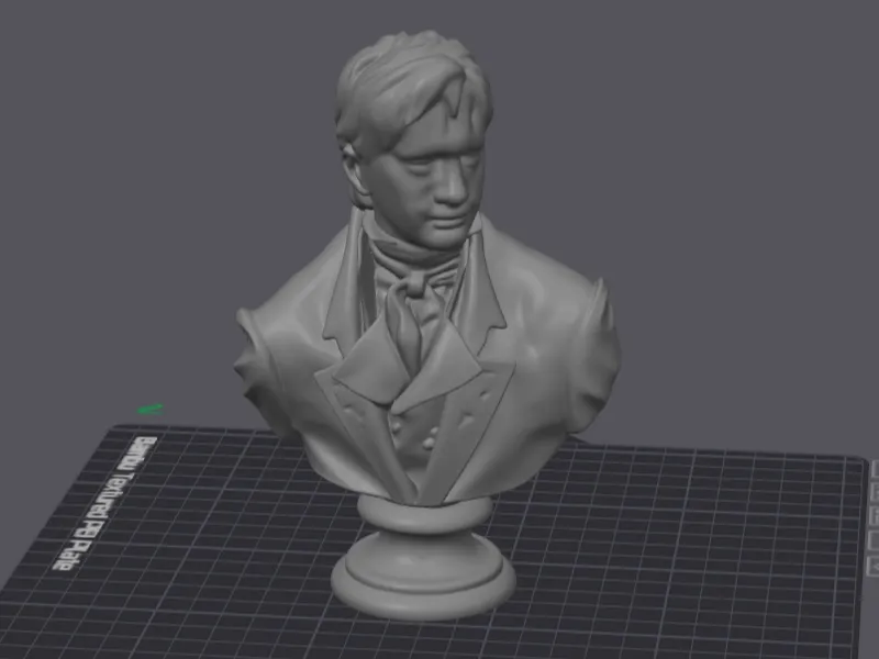 Mr. Darcy - Bust