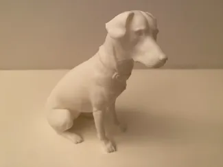 White Dog
