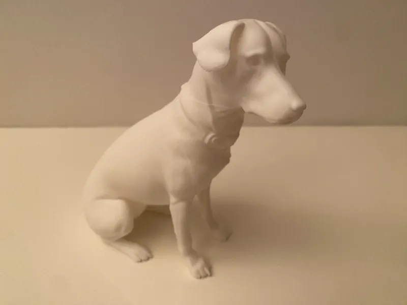 White Dog