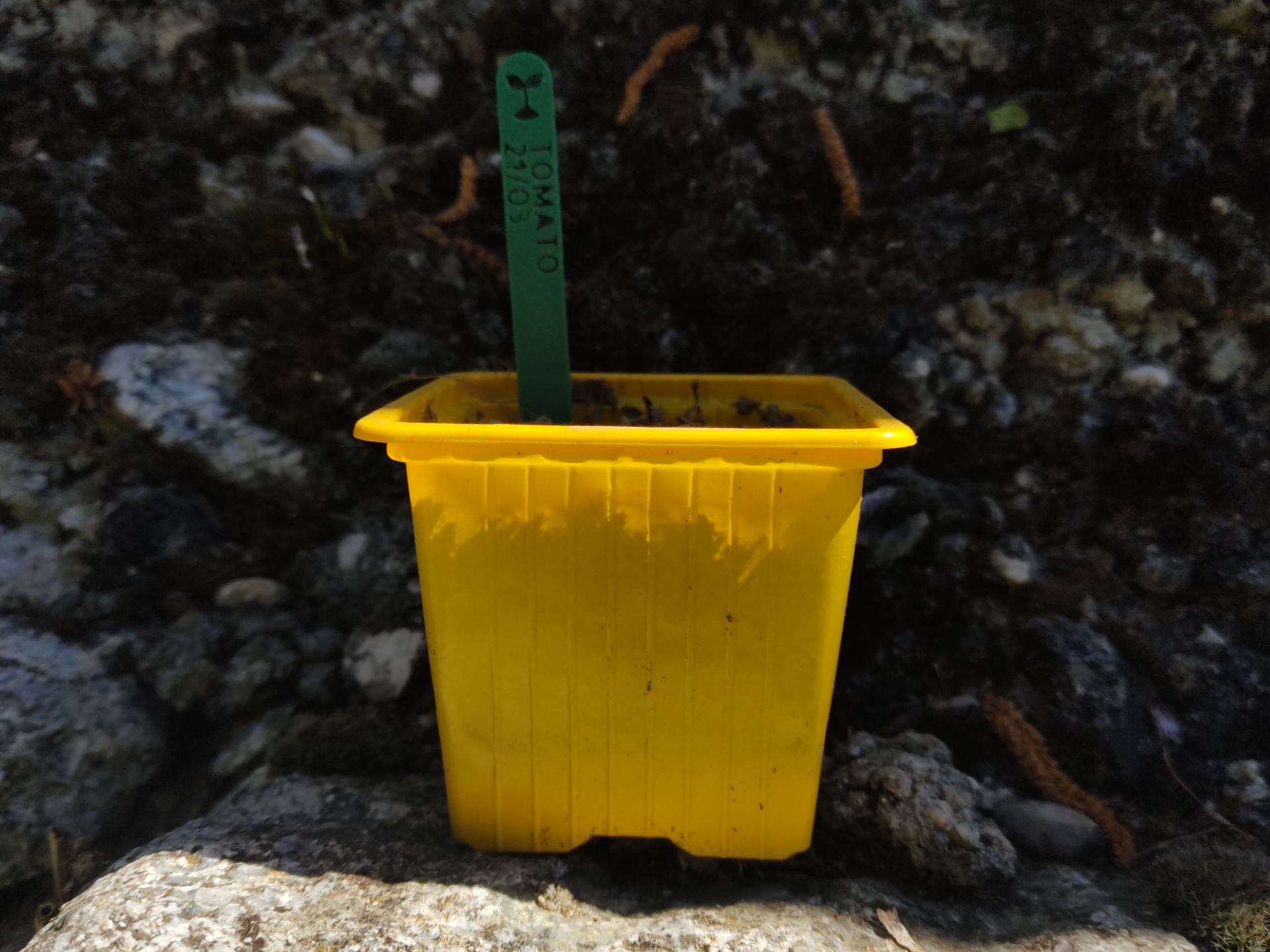 Seed / Plant Marker with Simple / Dual