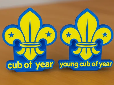 cub and young cub of the year woggle 