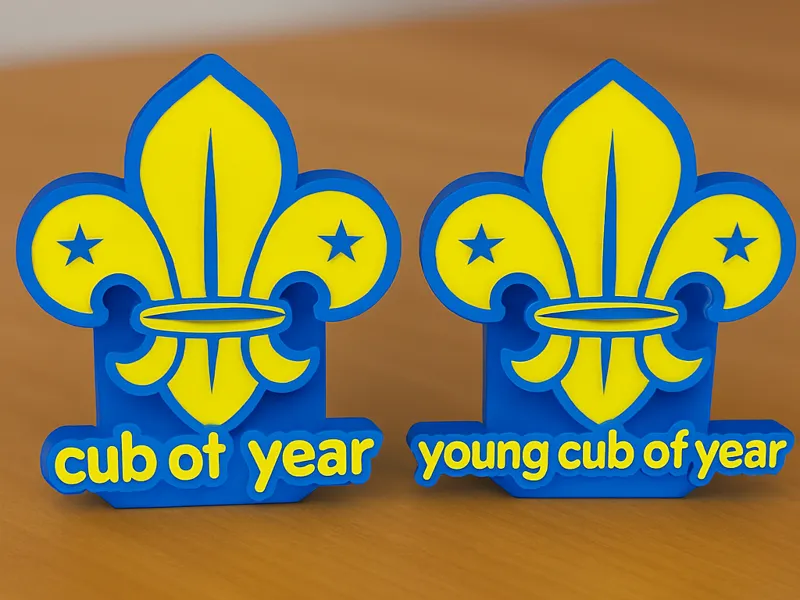 cub and young cub of the year woggle 
