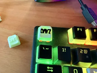 DayZ logo keycap