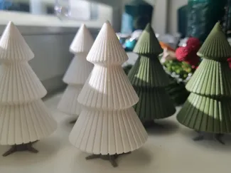 Striped Pinetree