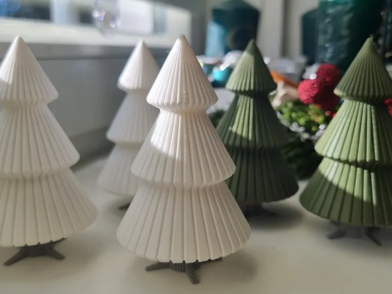 Striped Pinetree
