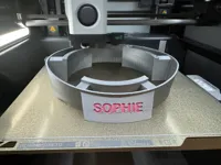 0.2mm layer, 5 walls, 15% infill, no support, no brim