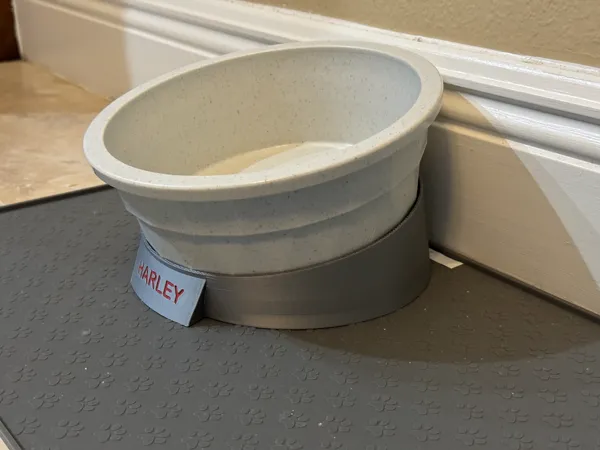 https://makerworld.bblmw.com/makerworld/model/USf87c09fb110374/design/2024-01-18_e248091645eb4.png