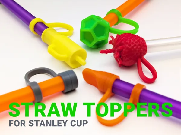 https://makerworld.bblmw.com/makerworld/model/USf87ccc03b18d5e/design/2025-08-06_69dfe501423ef.jpg