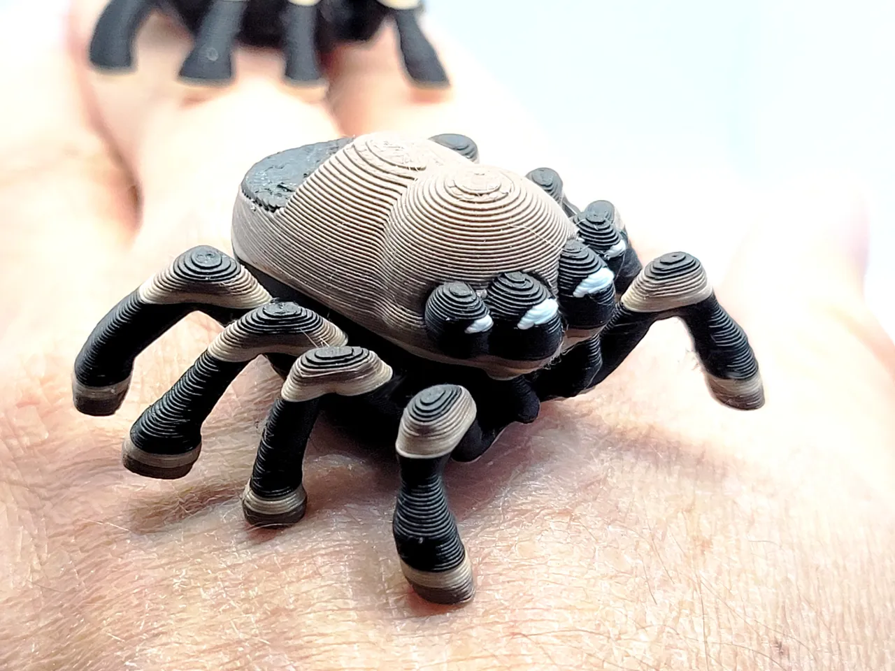 Jumping Spider view 3