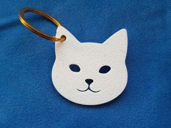https://makerworld.bblmw.com/makerworld/model/USf87f39cdf48621/design/2025-11-05_9f5fb2c6390248.jpg