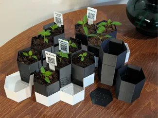 Hexagon plant pot system