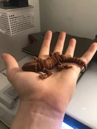 scaled to 50 %