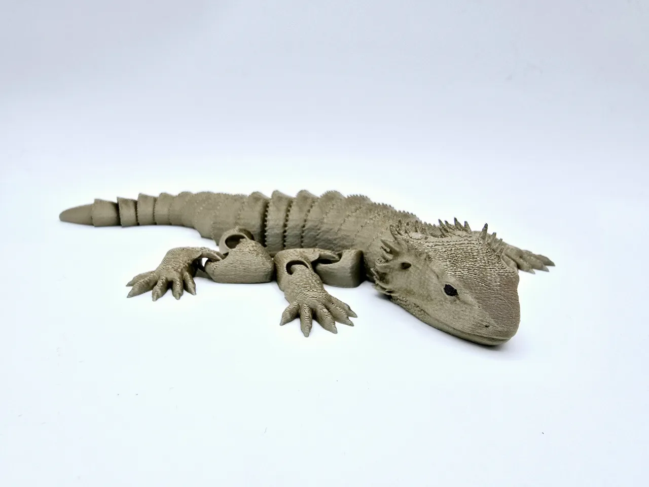 Flexi Bearded Dragon view 2