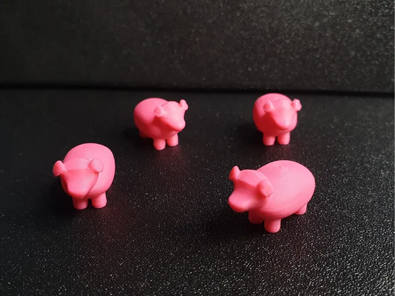 Pig model