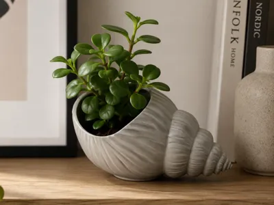 shell plant pot