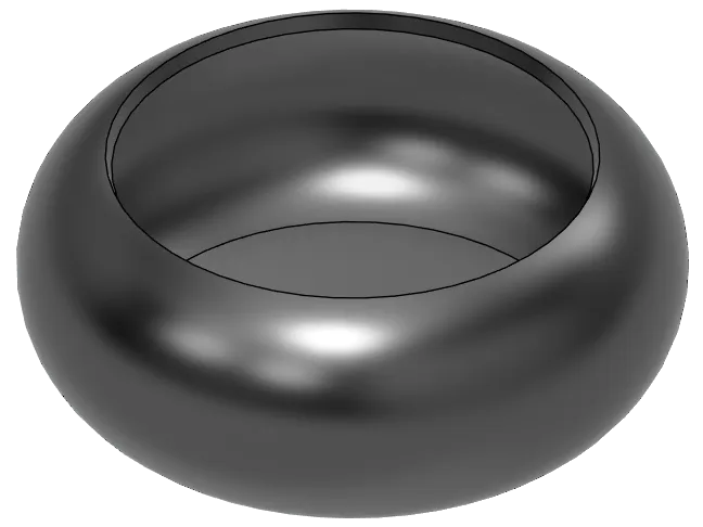 svuotasche