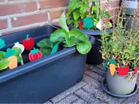 Planters Standing A1 H2 P2