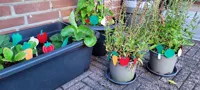 Planters Hanging A1 Mini