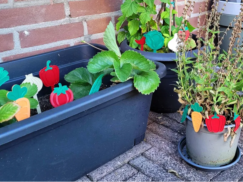 Plant Markers - Vegetable & Fruit