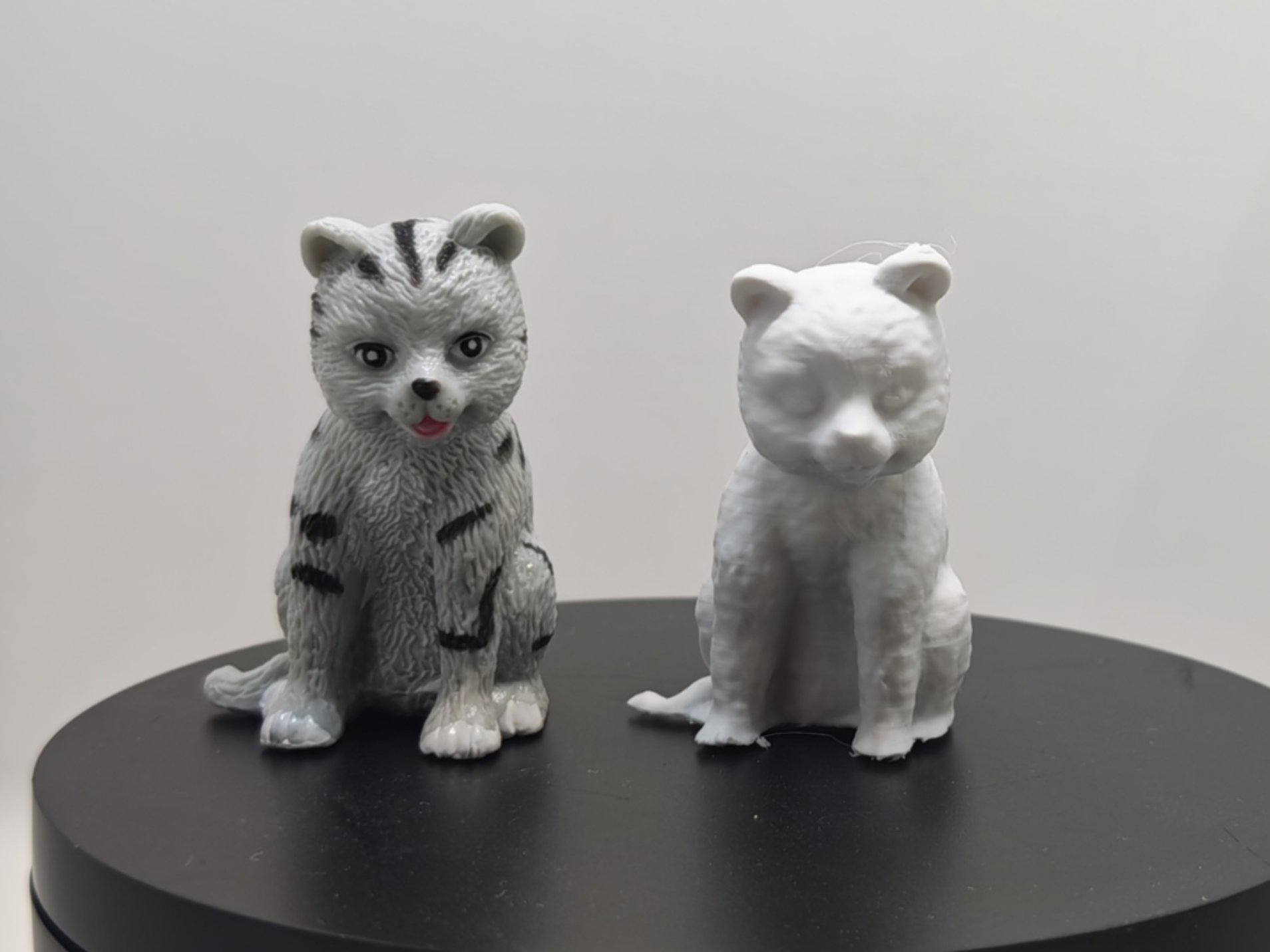 Cat - 3D-Scanned