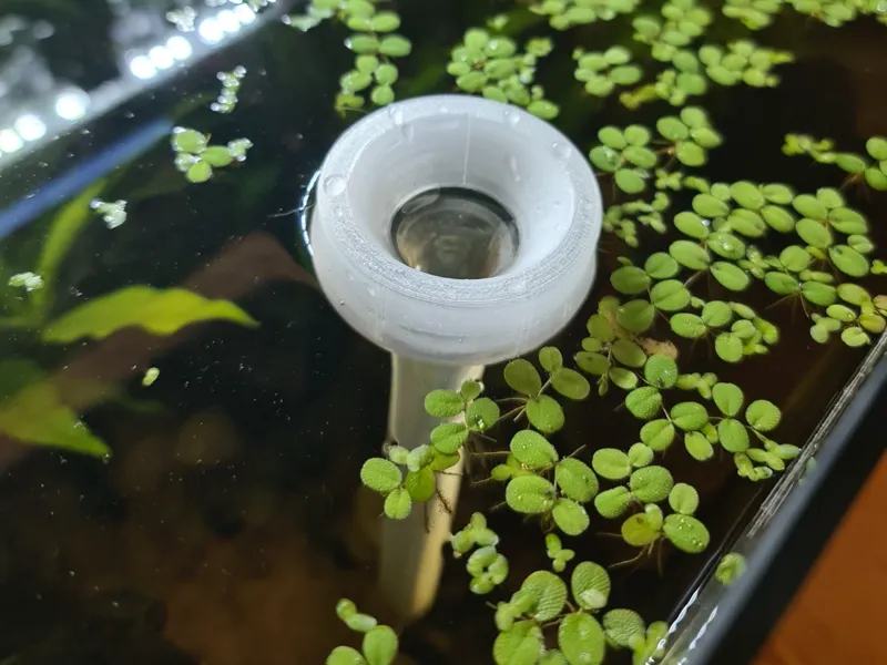floating feeding tube