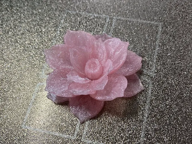 Camellia flower