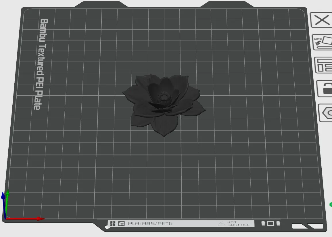 Camellia flower view 2