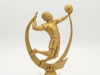 Trofeo todo integrado