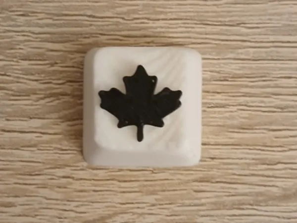https://makerworld.bblmw.com/makerworld/model/USf89d7fefd818f7/design/2026-01-01_44a69142ad365.jpeg