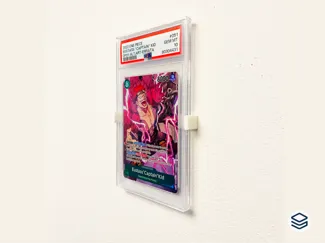 PSA/CGC Wall Mount Holder for Slabs